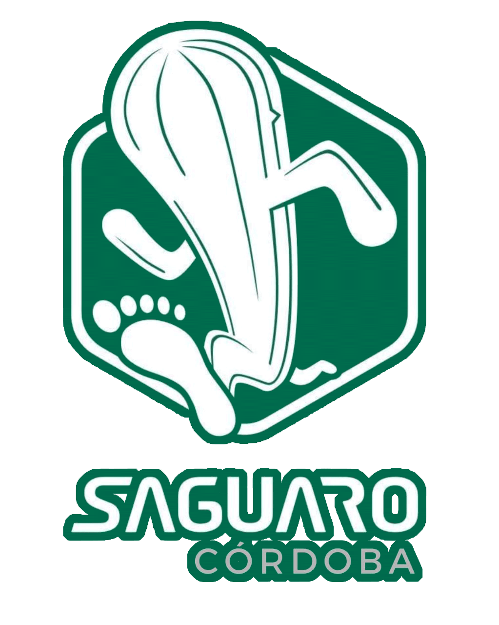 Sponsor 11